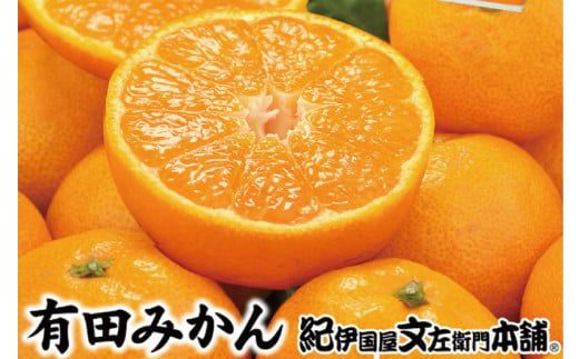 【予約受付】ブランド有田みかん　秀品2.8kg/サイズお任せ　※2026年10月中旬～2027年1月中旬頃に順次発送予定（お届け日指定不可）　紀伊国屋文左衛門本舗【sgtb144】
