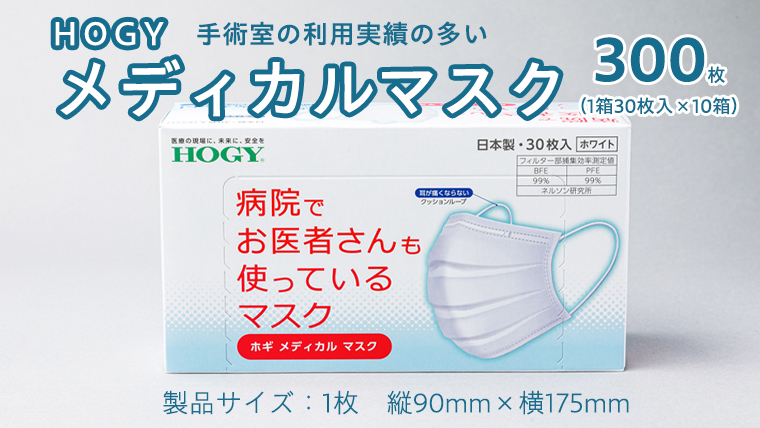 ホギメディカル マスク 箱タイプ 10箱 ( 1箱 / 30枚入 ) HOGY 高品質 認証マスク 不織布 清潔 安心 安全 予防 楽 [DC001us]