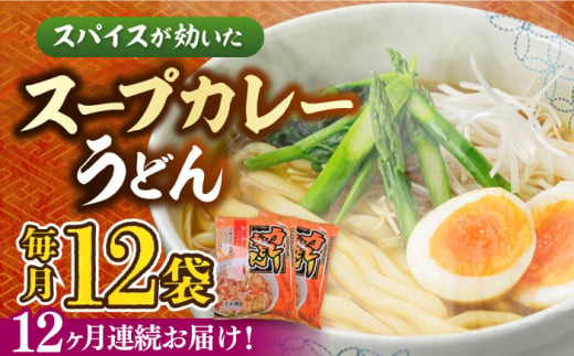 【第12回定期便】 スープカレーうどん (12食入り)≪豊前市≫【富士菊】 うどん カレー 麺 [VAI073]