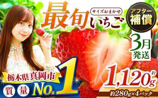 【3月発送】大人気！ 最旬とちあいか 約1120g 4パック いちご | 1月 2月 3月 おいしい 取り寄せ プレゼント | 生産量 日本一 果物 フルーツ 苺 イチゴ 2026年分 シーズン  栃木県 真岡市 送料無料