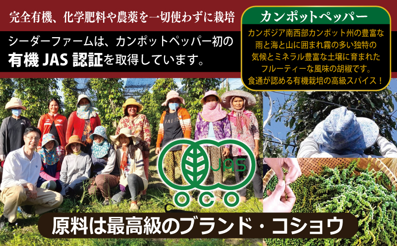 生胡椒ディップ エメラルドの雫（シズク）70g×2本【胡椒 こしょう コショウ 缶詰 缶詰め かんづめ 防災 防災用品 備蓄】 099H4473