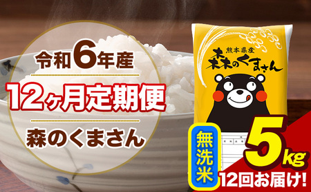 令和7年産 新米【12ヶ月定期便】森のくまさん 無洗米 5kg 5kg×1袋 計12回お届け《お申し込み月の翌月から出荷開始》 お米 こめ 熊本県産 ご飯 備蓄