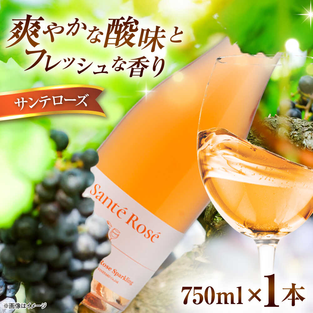 【ふるさと納税】【2025年新作】サンテローズ（カベルネソーヴィニヨンロゼ・スパークリング）750ml×1本 ワイン お酒 ぶどう 島根県雲南市/有限会社奥出雲葡萄園[AICS090]