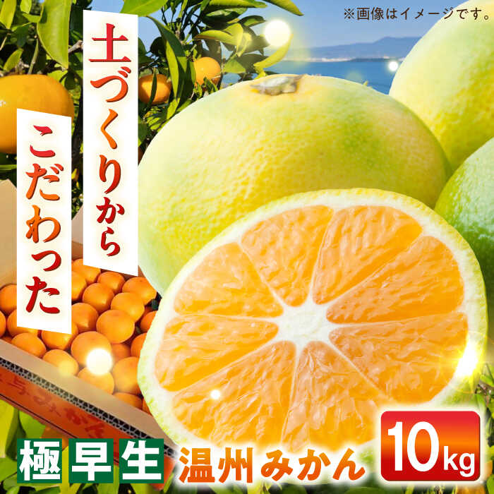 【ふるさと納税】【自然の力を活かした栽培】温州みかん（極早生） 10kg -2025年10月下旬より発送- 長与町/農事組合法人希望種（きぼうのたね）[ECQ002] 先行予約 温州 みかん ミカン 蜜柑 柑橘 極早生 除草剤不使用 長崎県 長与町 フルーツ 果物 旬 お取り寄せ 甘い
