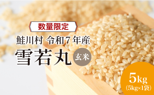 ◇数量限定品◇ 令和8年8月上旬発送 ＜令和7年産＞ 雪若丸 【玄米】 5kg （5kg×1袋）鮭川村