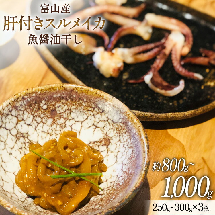 【ふるさと納税】肝付き スルメイカ 魚醤油干し 約230g 3枚 [愛場商店 富山県 朝日町 34310486] 漁協直送 烏賊 イカ 魚介 海鮮 海の幸 新鮮 鮮度抜群