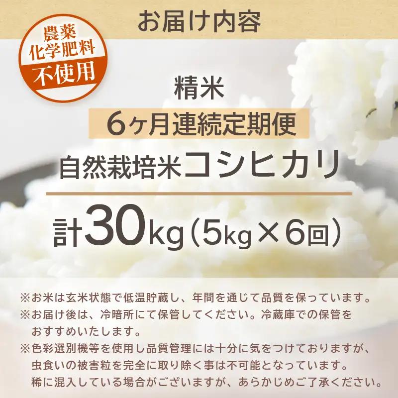 【先行予約】【令和8年産】【定期便】 ≪6ヶ月連続お届け≫ コシヒカリ 精米 5kg×6回 （計30kg） 化学肥料 農薬不使用 自然栽培米 / 北陸 福井県産 あわら市 ブランド米 白米 お米 コメ