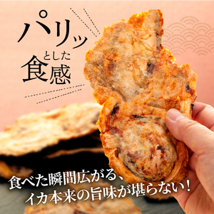 いか せんべい 5袋 訳あり 唐揚げせんべい