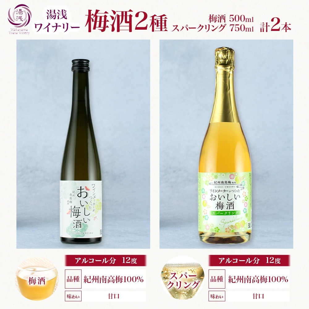 KG1009_湯浅ワイナリー おいしい梅酒2種セット 各1本 計2本