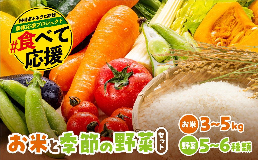 
                  お米と季節の野菜セット  米 ひとめぼれ 3～5kg 野菜 5～6種類 採れたて 新鮮 農家直送 国産 ギフト 福島県 田村市 川向生産組合
                