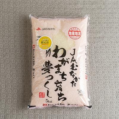 ふるさと納税 太宰府市 【太宰府】果物屋さんが選んだ米「夢つくし」5kg