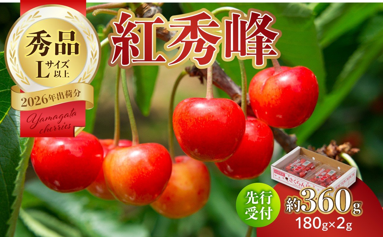 
                  【2026年度先行受付】★さくらんぼ紅秀峰★約360g 秀品 【6月より順次発送予定】 【063-009】
                