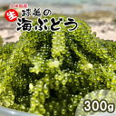 【ふるさと納税】球美の”生”海ぶどう（100g×3個）