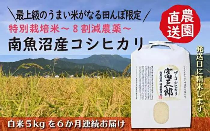 【令和8年新米予約】【６ヶ月定期便】 南魚沼産コシヒカリ　富三郎　 肥沃な大地と八海山の雪解け水が育んだ厳選米 　白米５ｋｇ全６回　|  コシヒカリ【2026年10月中旬より順次発送予定】