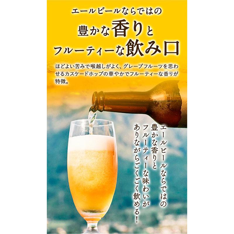 みなみ阿蘇 ビール 飲み比べセット 330ml×6本セット 株南阿蘇ケアサービス 《90日以内に出荷予定(土日祝除く)》---sms_carebrednk_90d_23_16000_6i---