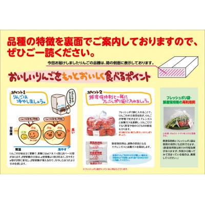 【発送月固定定期便】〈2024年9月より順次発送〉甘味系・青森県産りんご約3kg全8回【配送不可地域：離島・沖縄県】【4051702】