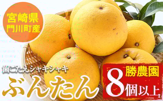 ＜先行予約受付中！2026年2～4月末の間に発送予定＞ 宮崎県門川町産文旦≪ぶんたん≫(8個以上)柑橘 果物 数量限定 期間限定 国産 フルーツ 常温 保存 遠見半島 【AE-17】【勝農園】