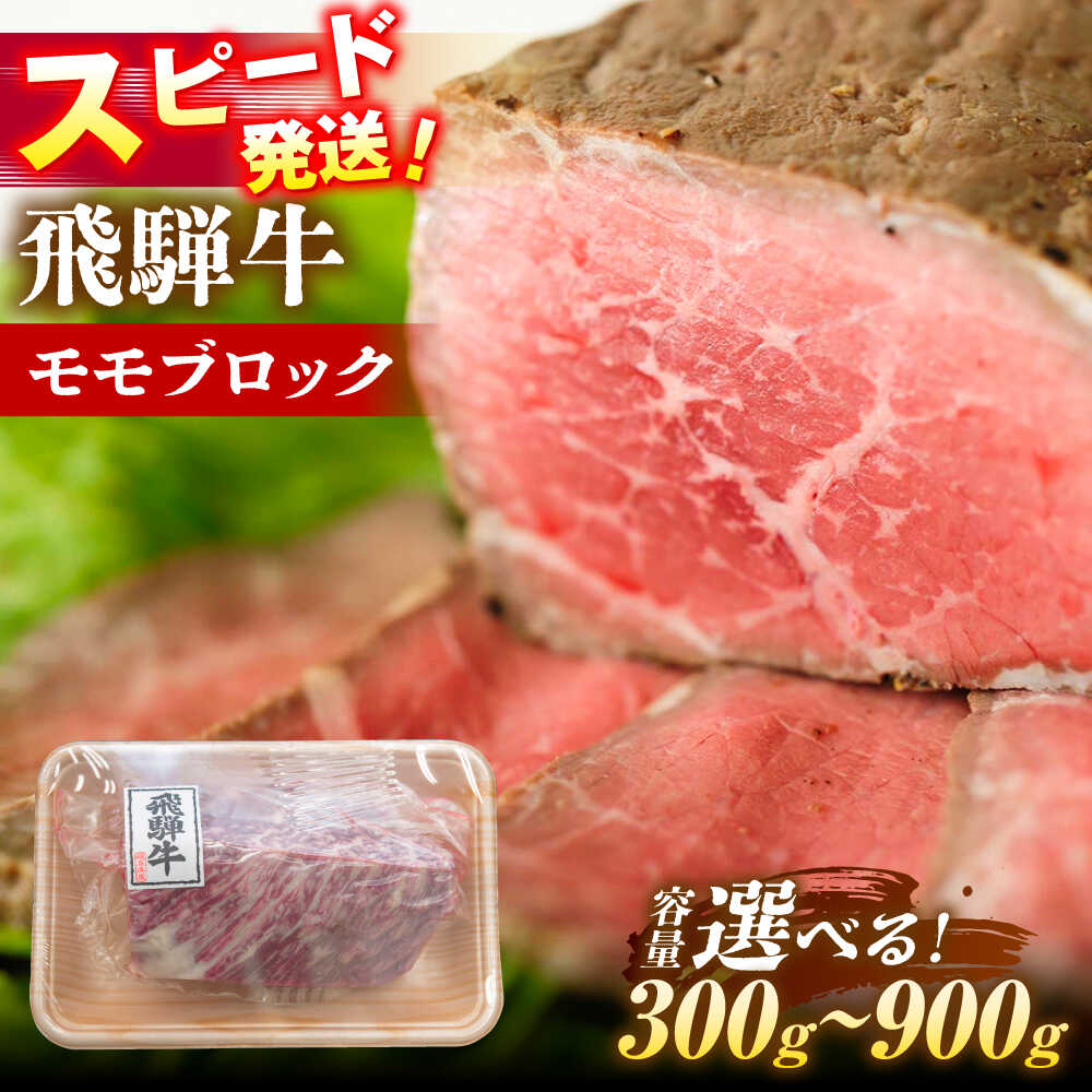 【ふるさと納税】【選べる容量】 飛騨牛 モモ ブロック 瑞浪市 / 冷凍 赤身 和牛 ギフト[AZDB008]