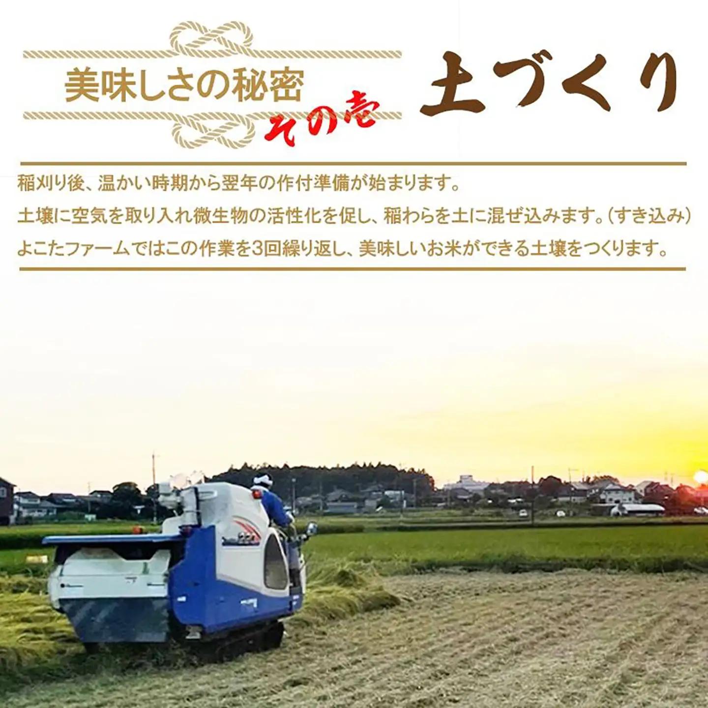 【玄米】令和7年産 コシヒカリ玄米 5kg 米