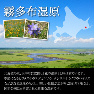 霧多布湿原を中心とする環境保全活動への寄附　霧多布湿原を中心とする環境保全活動への寄附 2,000円 寄附 支援 寄付のみ 返礼品無し 寄付金 霧多布湿原 国定公園 花の湿原 景観保全 動植物の保全 