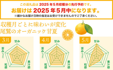 【先行予約 ５月出荷】  おわせの雨夏（あまなつ）  5kg　無農薬 ワックス・防腐剤不使用 木成り 完熟 甘夏  ギフト 贈答 日用 でも使える 三重 尾鷲 の 柑橘 特産品  TK-14