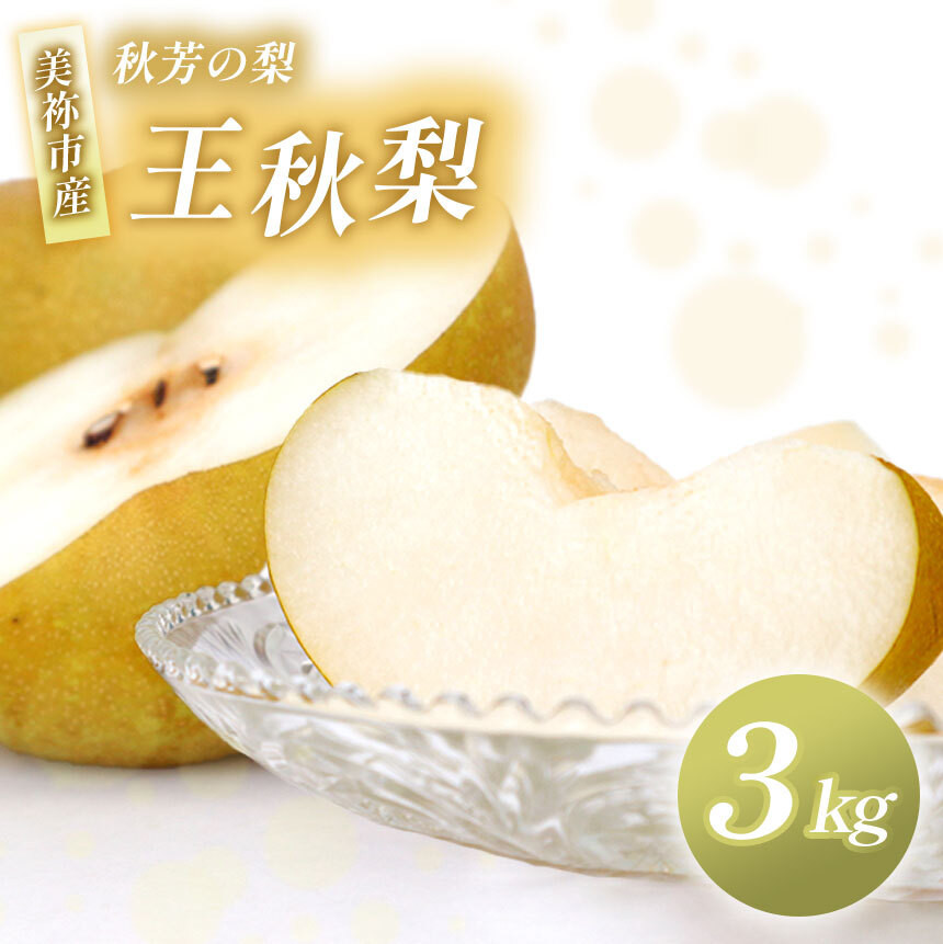 
            王秋 3kg 先行予約 ( 2025年11月中旬～発送予定 ) | フルーツ 果物 くだもの 梨 なし ナシ おうしゅう 3キロ 特産品 山口県 山口 美祢市 美祢 秋芳 秋芳町 カルスト台地 期間限定
          