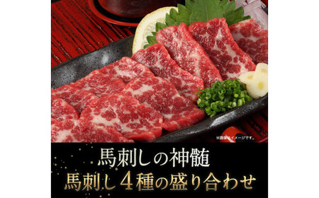 馬刺し4種の盛り合わせ【極上大トロ馬刺し100g/特選霜降り馬刺し100g/ロース馬刺し100g×3/赤身馬刺し100g×4】+タレ360ml付き《90日以内に出荷予定(土日祝除く)》