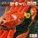 【ふるさと納税】【先行予約】【訳あり】名人が茹でる指折れ訳あり越前がに（小）2杯 (1杯あたり生の状態で約350～400g) やまに仕込み【2024年11月～2025年3月発送】【越前ガニ ズワイガニ ずわいがに 蟹 三国 浜茹で 冬の味覚】