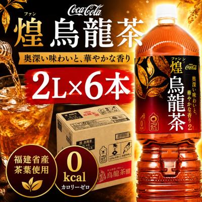 ふるさと納税 東海市 日本コカ・コーラ 煌(ファン) 烏龍茶 2L×6本 ペットボトル ケース