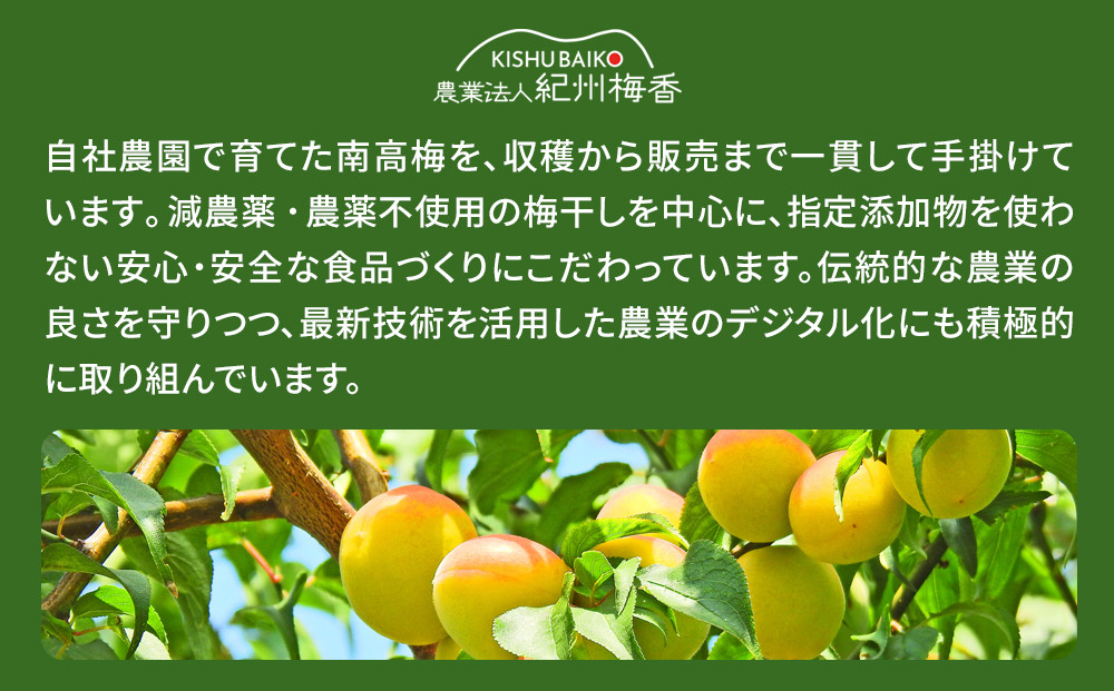 はちみつ梅 無添加 梅干し 訳あり つぶれ梅 約1kg(500gパック×2個) 低塩6% 6-G ［KU1］