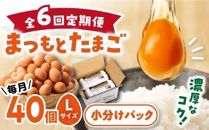 
                  【卵 6回定期便 】まつもとたまご 40個 赤玉 卵 たまご 長崎 西海市 たまご 卵 玉子 タマゴ 鶏卵 オムレツ 卵かけご飯 朝食 料理 人気 卵焼き＜松本養鶏場＞[CCD003] 
                