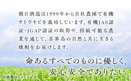 奄美黒糖焼酎 「 壱乃醸朝日 」 25度 720ml × 6本 セット A021-036-02 酒 アルコール お酒 焼酎 黒糖焼酎 本格焼酎 シャープ ロック 水割り お湯割り 安田商店 ふるさと納