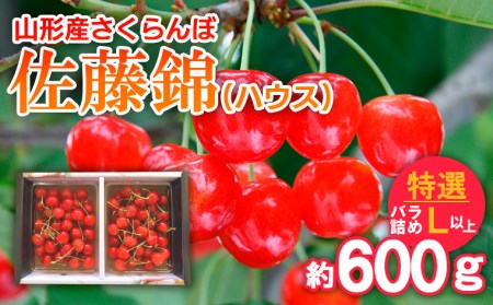 さくらんぼ 佐藤錦(ハウス)特選 バラ詰め L以上 約600g 【令和7年産先行予約】FS24-628くだもの 果物 フルーツ 山形 山形県 山形市 2025年産