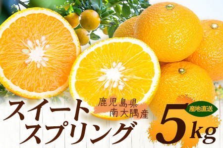 【数量限定】鹿児島県南大隅産スイートスプリング 5kg 【2025年12月下旬より順次発送】｜柑橘 くだもの 果物 フルーツ スイートスプリング 食品 人気 おすすめ 南大隅 新鮮 産地直送 爽やか 数量限定（AL7510）