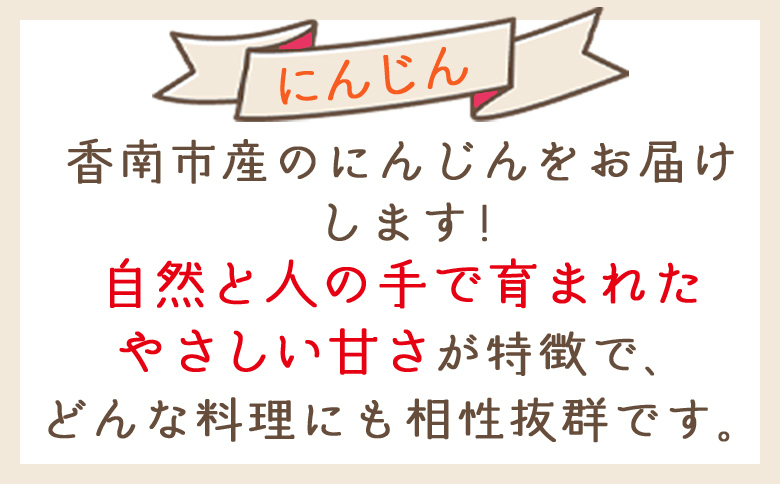 【2025年11月以降発送】にんじん 7kg 家庭用 - 国産 野菜 青果 人参 ジュース キャロット ご家庭用 不揃い 傷 やすらぎ市 高知県 香南市 冷蔵 yr-0084