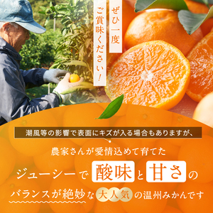 訳あり 熊本県産 温州みかん 約 5kg 