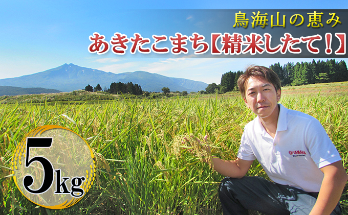 新米 米 お米 鳥海山の恵み 農家直送！ あきたこまち 5kg［精米 したて！］ サブスク 