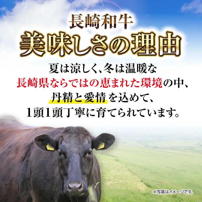 【全12回定期便】【A4〜A5ランク】長崎和牛 モモステーキ 約500g（100g×5枚）《壱岐市》【株式会社MEAT PLUS】 肉 牛肉 和牛 モモ ステーキ ご褒美 冷凍配送 [JGH158]