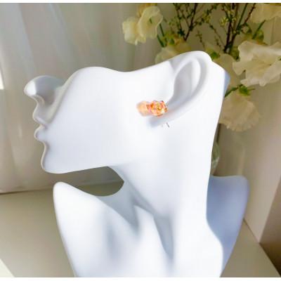 ふるさと納税 小山市 サージカルステンレス金属アレルギー対応ピアス・レッドカラー |  | 01