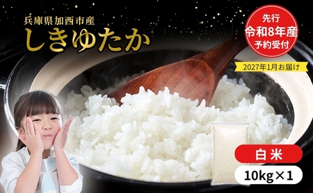 【令和8年産 先行受付】しきゆたか 白米 10kg《2027年1月発送》
