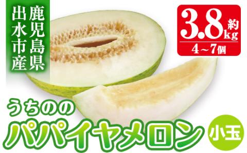 i457 ＜2026年4月中旬~5月中旬の間に発送予定＞うちののパパイヤメロン小玉(計約3.8kg・4～7個入) メロン パパイヤメロン 果物 くだもの フルーツ 期間限定 数量限定 旬 立体栽培 シャキシャキ食感 ギフト 贈り物 おやつ 【山ん神】