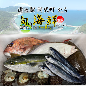 山口県 阿武町 道の駅 厳選 ！ 当日水揚げ 鮮魚 セット 約4～5kg 新鮮 豪華 旬 獲れたて 魚 さかな サザエ 海鮮