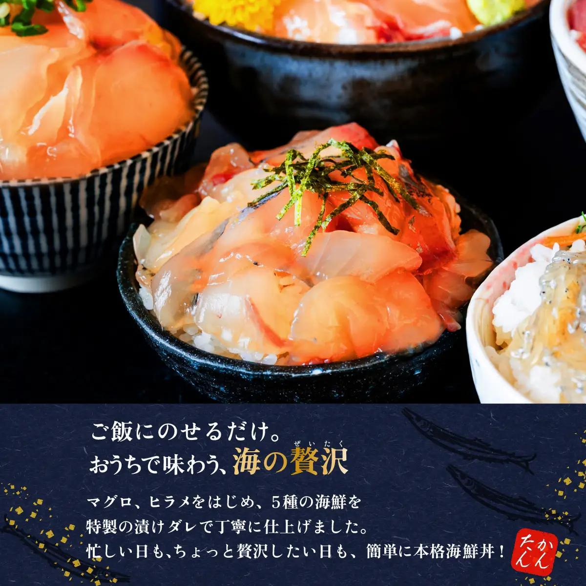 海鮮丼 5種 計5P マグロ 海鮮丼