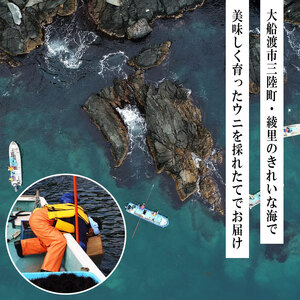 期間限定 水揚げ日発送 綾里の生うに 300g 150×2パック 数量限定 冷蔵 ミョウバン不使用 産地直送 ムラサキウニ 季節限定 生うに 生雲丹 寿司 天然 海鮮丼 寿司 ウニ丼 刺身 うに ウニ