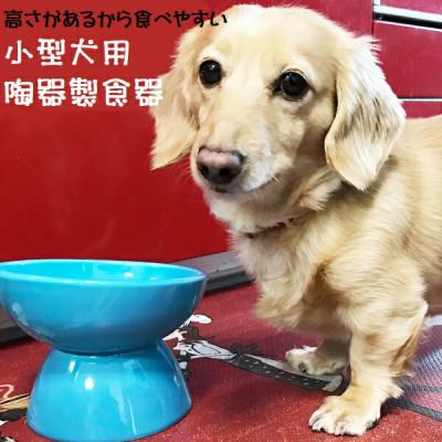 ふるさと納税 奈良市 ペット用食器 小型犬用 陶器製食器 ミント(ブルー) 9-052 53628-1-CHOB2