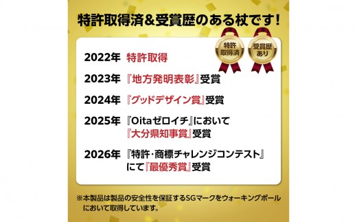 ウォーキングポール Issoku-CHO（1足長） オールブラック 1本 杖 歩行補助 特許取得 グッドデザイン賞 アウトドアスポーツ 山登り トレッキング ハイキング 登山 ウォーキング  R170