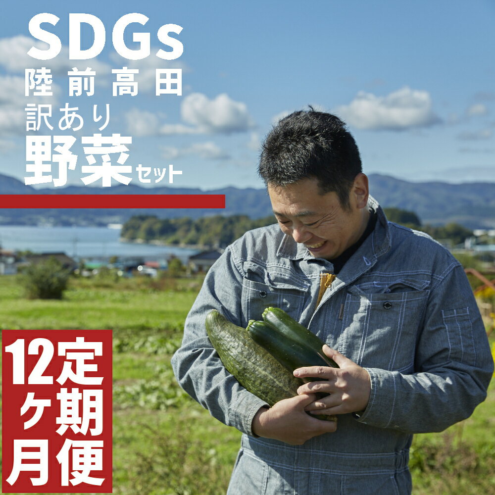 【ふるさと納税】[ 定期便12ヶ月 ] 訳あり おためし 野菜セット 約3〜4種 農家のおすそわけ [ 野菜 やさい ベジタブル 季節 旬 お試し 冷蔵 詰め合わせ セット SDGs お楽しみ こだわり 料理 産地直送 岩手 陸前高田 ひころいちファーム ] 大根 白菜 トマト ブロッコリー など