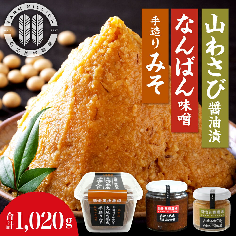 【ふるさと納税】大地の熟成 手造り味噌 700g なんばん味噌 240g 山わさび 80g セット 十勝産大豆 調味料 わさび 味噌汁 ラーメン うどん パスタ 送料無料 北海道 十勝 芽室町