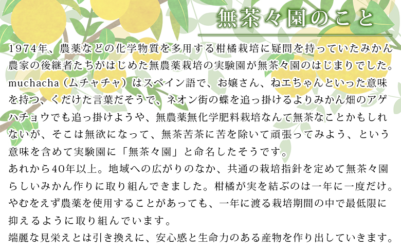 ＜無茶々園のポンカンジュース 720ml 6本＞『1か月以内に順次出荷予定』柑橘 果物 オレンジ フルーツ ストレート 果汁100% ぽんかん ポンカン 丸ごと 糖度 甘い 甘味 飲んで応援 特産品 