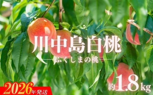
            No.2886もも「川中島白桃」約1.8kg【2026年発送　先行予約】
          